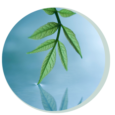 Saskatoon Individual Counselling